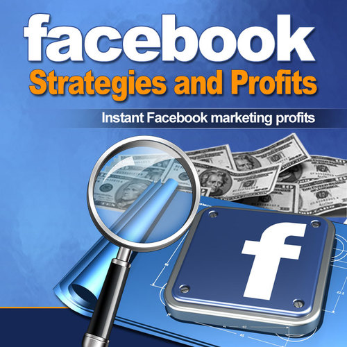 Product picture Facebook Strategies And Profits 